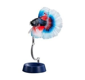 Ikimono Daizukan Advance Betta Full Moon Blue & Red Ikimono Daizukan Advance Betta Full Moon Blue & Red