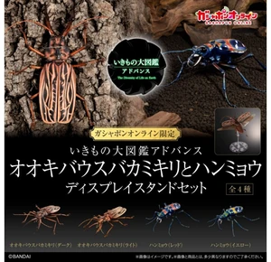 Ikimono Daizukan Advance Derobrachus hovorei & Cicindela Set (4 Types) Ikimono Daizukan Advance Derobrachus hovorei & Cicindela Set (4 Types)