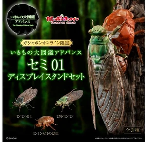 Ikimono Daizukan Advance Cicada 01 Display Stand Set (3 Types) Ikimono Daizukan Advance Cicada 01 Display Stand Set (3 Types)