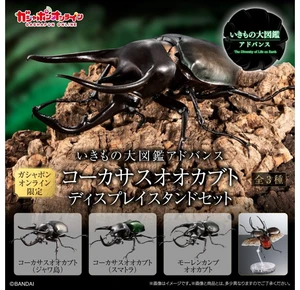 Ikimono Daizukan Advance Caucasus Beetle Display Stand Set (3 Types) Ikimono Daizukan Advance Caucasus Beetle Display Stand Set (3 Types)