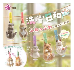Japan Sentakubiyori Fuwafuwa Plus+ Complete 5-Type Set Japan Sentakubiyori Fuwafuwa Plus+ Complete 5-Type Set