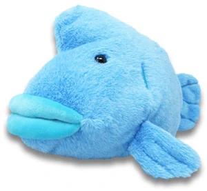 Kaichu Sanpo Plush M Napoleon Fish Pochamaru Kaichu Sanpo Plush M Napoleon Fish Pochamaru