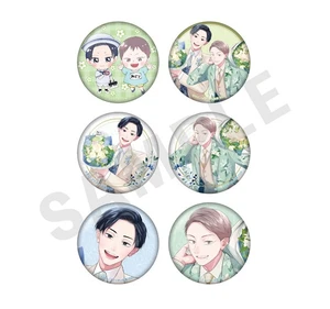 Ao to Midori Can Badge Set of 6 US Import Fees Included