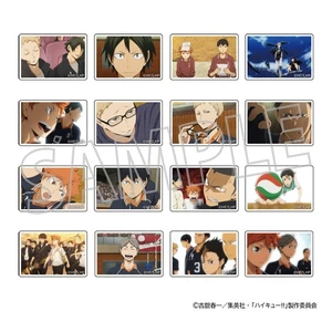 Movic Haikyu!! Custom Magnet Collection Karasuno High School Box of 8