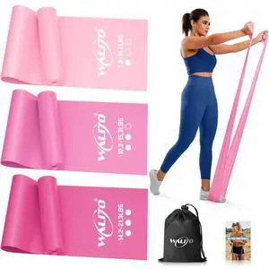 Resistance Bands for Working Out, Exercise Bands for Women and Men, Workout Bands for Yoga, Physical Therapy, Stretch, Recovery, Pilates, Rehab, Strength Training and Home Gym Resistance Bands for Working Out, Exercise Bands for Women and Men, Workout Bands for Yoga, Physical Therapy, Stretch, Recovery, Pilates, Rehab, Strength Training and Home Gym