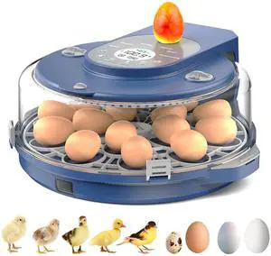 Egg Incubator for Hatching Eggs, 5 Preset Incubation Modes & 1 Custom Mode Egg Incubator for Hatching Eggs, 5 Preset Incubation Modes & 1 Custom Mode