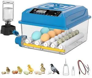 16 Eggs Incubators for Hatching Eggs, Egg Incubator with Automatic Egg Turning, Chicken Egg Incubator with Humidity and Incubation Day Display, Incubator with Egg Candler for Poultry(Blue) 16 Eggs Incubators for Hatching Eggs, Egg Incubator with Automatic Egg Turning, Chicken Egg Incubator with Humidity and Incubation Day Display, Incubator with Egg Candler for Poultry(Blue)