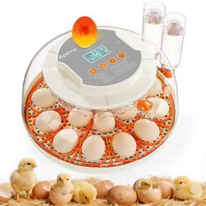 Egg Incubators for Hatching Eggs, Temperature and Humidity Control, Automatic Egg Turning, Egg Candler, External Water Bottle, Air Vent, for Chicken, Duck & Quail Eggs, 18 Eggs Egg Incubators for Hatching Eggs, Temperature and Humidity Control, Automatic Egg Turning, Egg Candler, External Water Bottle, Air Vent, for Chicken, Duck & Quail Eggs, 18 Eggs