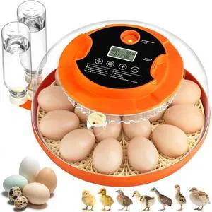 18 Egg Incubators for Hatching Eggs, Automatic Egg Turning and Humidity Control Incubator for Hatch Chicken Duck Quail Pigeon Pheasant Partridge Home Classroom Lab- 18 Egg Incubators for Hatching Eggs, Automatic Egg Turning and Humidity Control Incubator for Hatch Chicken Duck Quail Pigeon Pheasant Partridge Home Classroom Lab-