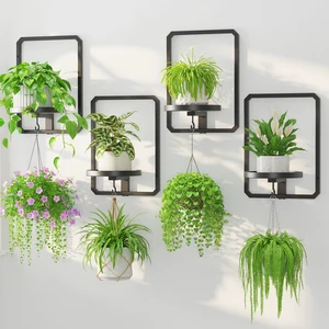 Plant Picture Frame Holder Shelf Wall Window Indoor, 4 Pcs Black Plant Picture Frame Holder Shelf Wall Window Indoor, 4 Pcs Black