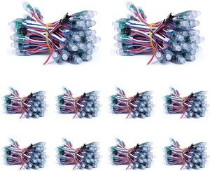 500pcs/Set DC12V 12MM WS2811 RGB Pixels Digital Individually Addressable Diffused Round LED String Lights Waterproof Full Color for Christmas Billboard House Halloween 500pcs/Set DC12V 12MM WS2811 RGB Pixels Digital Individually Addressable Diffused Round LED String Lights Waterproof Full Color for Christmas Billboard House Halloween