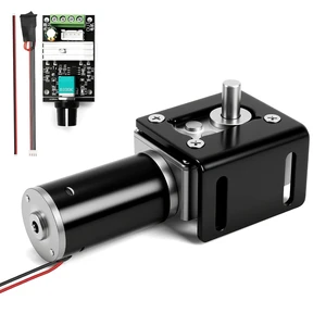 12V DC Worm Gear Motor, 40RPM 32kg.cm High Torque, Self-Locking with PWM Controller & Bracket 12V DC Worm Gear Motor, 40RPM 32kg.cm High Torque, Self-Locking with PWM Controller & Bracket