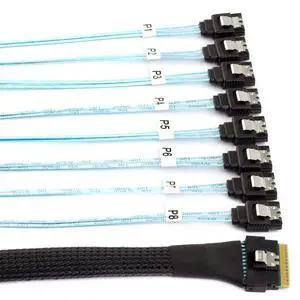 SAS 4.0 Slimline SFF-8654 8i 74pin Host Raid to 7pin 8 SATA Target Hard Disk Fanout Raid Cable 1-to-8 Splitter 100CM SAS 4.0 Slimline SFF-8654 8i 74pin Host Raid to 7pin 8 SATA Target Hard Disk Fanout Raid Cable 1-to-8 Splitter 100CM