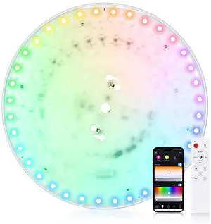 Smart Ceiling Light Replacement Kit, RGB LED Ceiling Light Retrofit Kit, 2400LM, DIY Color, Compatible with Alexa, 2700K-6500K for Bedroom, Living Room, 9.25 Inch, 120V, ETL Smart Ceiling Light Replacement Kit, RGB LED Ceiling Light Retrofit Kit, 2400LM, DIY Color, Compatible with Alexa, 2700K-6500K for Bedroom, Living Room, 9.25 Inch, 120V, ETL