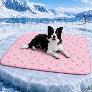 Dog Cooling Mat, Summer Cooling Mat for Dogs, Self Cooling Pad for Small Medium Large Dogs Cats, Non-Toxic Breathable Sleep Bed Summer Pet Bed Puppy Ice Blanket for Kennel Sofa Bed Floor Dog Cooling Mat, Summer Cooling Mat for Dogs, Self Cooling Pad for Small Medium Large Dogs Cats, Non-Toxic Breathable Sleep Bed Summer Pet Bed Puppy Ice Blanket for Kennel Sofa Bed Floor