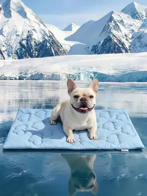 Dog Cooling Mat,Dual-Sided Cooling Mat for DogsCooling Fabric for Summer,Velvet for All SeasonsPortable for Crate,Car Seat,Sofa&Floor,Machine Washable,Keeps Cats,Dogs&Puppies Cool,Cloud Blue Dog Cooling Mat,Dual-Sided Cooling Mat for DogsCooling Fabric for Summer,Velvet for All SeasonsPortable for Crate,Car Seat,Sofa&Floor,Machine Washable,Keeps Cats,Dogs&Puppies Cool,Cloud Blue