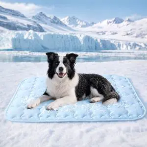 Premium Dog Cooling Mat Non-Slip Q-MAX>0.5 Self-Cooling Pad for Small Pet Cat Indoor Portable Kennel Puppy Bed for Summer Crate Pad for Dog Washable Light Blue 20x30 inches Premium Dog Cooling Mat Non-Slip Q-MAX>0.5 Self-Cooling Pad for Small Pet Cat Indoor Portable Kennel Puppy Bed for Summer Crate Pad for Dog Washable Light Blue 20x30 inches
