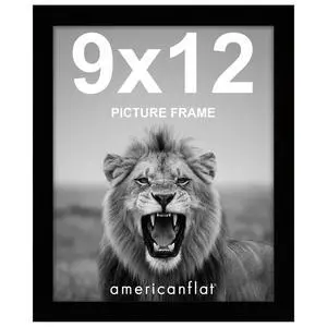 9x12 Picture Frame - Engineered Wood - Black | Shatter-resistant glass, wall or tabletop display with included easel, sawtooth hangers included 9x12 Picture Frame - Engineered Wood - Black | Shatter-resistant glass, wall or tabletop display with included easel, sawtooth hangers included