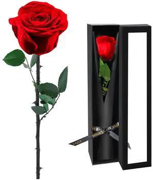 Preserved Flowers for Delivery,Red Rose Bouquets That Last 5 Years,Birthday Flowers Gifts for Women Mom Grandma Wife Friends,Mothers Day Roses Gift,Romantic Floral for Anniversary or Valentines Day Preserved Flowers for Delivery,Red Rose Bouquets That Last 5 Years,Birthday Flowers Gifts for Women Mom Grandma Wife Friends,Mothers Day Roses Gift,Romantic Floral for Anniversary or Valentines Day