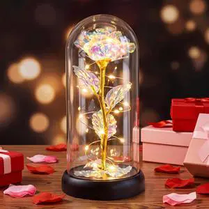 Christmas Rose Flower Gifts for Women, Mom Gifts for Christmas Valentines Mothers Day Birthday, Preserved Forever Glass Roses Flowers Gifts for Grandma Girlfriend Wife Sister Her (Colorful) Christmas Rose Flower Gifts for Women, Mom Gifts for Christmas Valentines Mothers Day Birthday, Preserved Forever Glass Roses Flowers Gifts for Grandma Girlfriend Wife Sister Her (Colorful)