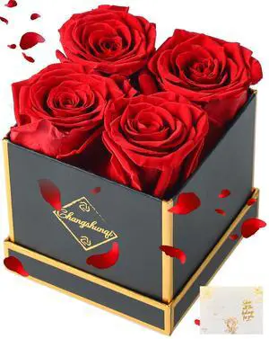 Forever Flowers, Preserved Roses in a Box, Eternal Rose Flowers for Delivery, Forever Preserved Roses for Her Women Wife Christmas Birthday Mothers Flower for Mom Womens Girlfriend Forever Flowers, Preserved Roses in a Box, Eternal Rose Flowers for Delivery, Forever Preserved Roses for Her Women Wife Christmas Birthday Mothers Flower for Mom Womens Girlfriend
