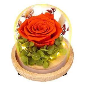 Preserved Flowers Rose Gift for Women, Real Preserved Rose Forever Flowers in Glass Dome with LED Lights, Rose Birthday Gifts for Mom Wife Girlfriend, Christmas Mothers Day Valentines Day Preserved Flowers Rose Gift for Women, Real Preserved Rose Forever Flowers in Glass Dome with LED Lights, Rose Birthday Gifts for Mom Wife Girlfriend, Christmas Mothers Day Valentines Day
