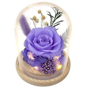 Preserved Flowers Gifts for Women, Preserved Roses in Glass Dome, Real Roses Flower Arrangement, Forever Flowers for Mom, Birthday Gifts for Women, Flowers for Delivery Prime Preserved Flowers Gifts for Women, Preserved Roses in Glass Dome, Real Roses Flower Arrangement, Forever Flowers for Mom, Birthday Gifts for Women, Flowers for Delivery Prime