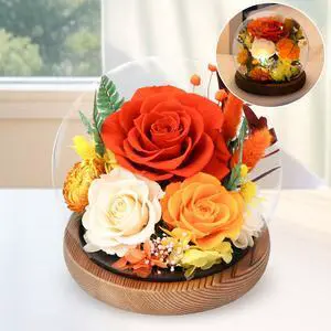 Flowers for Delivery, Birthday Gifts for Women Grandma | Preserved Rose in Glass Dome Mother Days Valentines Anniversary for Girlfriend Wife Her(Terracotta) Flowers for Delivery, Birthday Gifts for Women Grandma | Preserved Rose in Glass Dome Mother Days Valentines Anniversary for Girlfriend Wife Her(Terracotta)