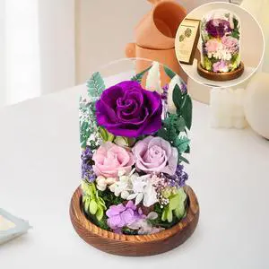 Preserved Rose in Glass Dome, Long Lasting Flower Delivery Gifts for Women | Birthday Mothers Day Valentine Presents for Mom Grandma Wife Girlfriend(Purple) Preserved Rose in Glass Dome, Long Lasting Flower Delivery Gifts for Women | Birthday Mothers Day Valentine Presents for Mom Grandma Wife Girlfriend(Purple)