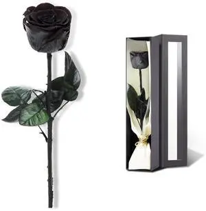 Preserved Rose, Preserved Flowers for Delivery Prime, Single Rose Flower Gifts for Women, Real Rose Presents for Her, Birthday Gifts, Valentines Flowers for Girlfriend - Black Preserved Rose, Preserved Flowers for Delivery Prime, Single Rose Flower Gifts for Women, Real Rose Presents for Her, Birthday Gifts, Valentines Flowers for Girlfriend - Black