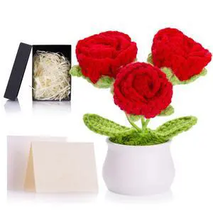 Red Eternal Crochet Roses Preserved Rose Forever Knitted Flower for Birthday Anniversary Red Crochet Gifts for Women Red Eternal Crochet Roses Preserved Rose Forever Knitted Flower for Birthday Anniversary Red Crochet Gifts for Women