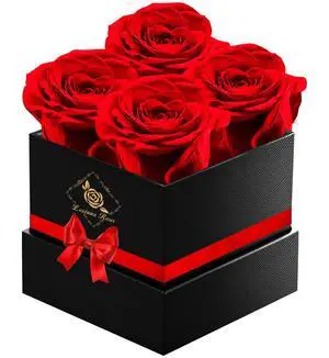 Gifts for Mom Birthday Gifts for Women Preserved Rose Forever Flower Eternal Fresh Flowers for Delivery Anniversary Mothers Day Real Red Roses for Grandma Her Wife from Daughter Valentines Day Gifts for Mom Birthday Gifts for Women Preserved Rose Forever Flower Eternal Fresh Flowers for Delivery Anniversary Mothers Day Real Red Roses for Grandma Her Wife from Daughter Valentines Day