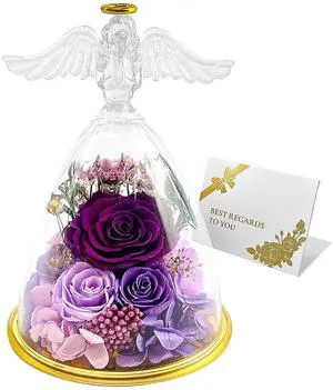 Preserved Flowers in Acrylic Glass Angel Figurine, Forever Flowers for Delivery, Preserved Roses Gifts for Mom Women Gifts for Birthday Mothers Day Anniversary Rose Gift for Grandma Wife Preserved Flowers in Acrylic Glass Angel Figurine, Forever Flowers for Delivery, Preserved Roses Gifts for Mom Women Gifts for Birthday Mothers Day Anniversary Rose Gift for Grandma Wife