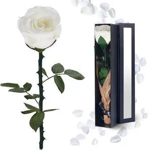 Preserved Flowers Gifts for Women: Single Rose White | Valentines Day Mothers Day Birthday Christmas Preserved Flowers Gifts for Women: Single Rose White | Valentines Day Mothers Day Birthday Christmas