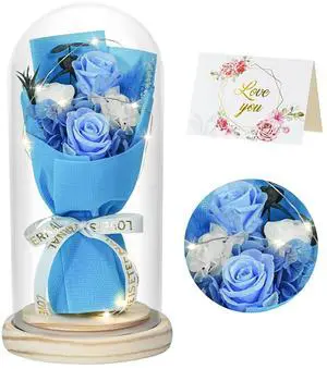 Flowers Gifts for Her Mom Women Preserved Forever Fresh Flowers Bouquet with Blue and White Roses in Glass Dome Suitable for All Occasions Valentines Mothers Day Anniversary Thanksgiving Birthday Flowers Gifts for Her Mom Women Preserved Forever Fresh Flowers Bouquet with Blue and White Roses in Glass Dome Suitable for All Occasions Valentines Mothers Day Anniversary Thanksgiving Birthday