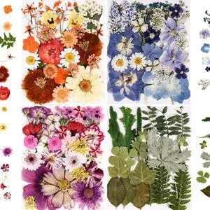 110+ Pcs Dried Pressed Flowers for Resin Crafts Colorful-C | real dry flowers and Leaves with Tweezers for resin molds DIY jewelry, scrapbooking, soap, candles, Nails Décor, Cards 110+ Pcs Dried Pressed Flowers for Resin Crafts Colorful-C | real dry flowers and Leaves with Tweezers for resin molds DIY jewelry, scrapbooking, soap, candles, Nails Décor, Cards