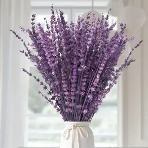 Dried Lavender Flowers Real Stems Purple Bouquet for Vase Decor | 15-17" preserved lavender stems with 1.76oz dried flowers for vase filler, wedding, crafts, farmhouse style, aromatherapy Dried Lavender Flowers Real Stems Purple Bouquet for Vase Decor | 15-17" preserved lavender stems with 1.76oz dried flowers for vase filler, wedding, crafts, farmhouse style, aromatherapy