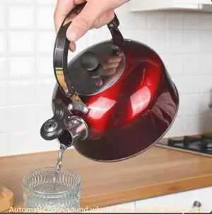 Stainless steel kettle, flat bottom, suitable for home use on gas Stainless steel kettle, flat bottom, suitable for home use on gas
