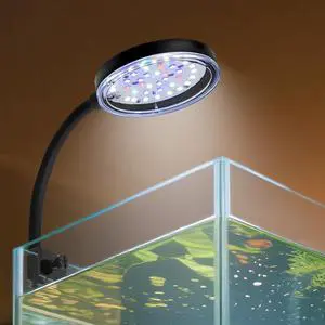 Clip On Aquarium Light 8W LED Fish Tank Light with Full Spectrum & Dimmable Brightness USB Moving Aquarium Lamp for 1-5 Gallon Betta Fish Tanks Clip On Aquarium Light 8W LED Fish Tank Light with Full Spectrum & Dimmable Brightness USB Moving Aquarium Lamp for 1-5 Gallon Betta Fish Tanks