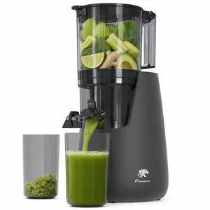 Cold Press Juicer, 6" Extra Large Feed Chute Slow Masticating Juicer Machines, Powerful AC Brushless Motor, Self Precut System, Juicer Machines with BPA-Free, Extra one Replace juicer strainer Cold Press Juicer, 6" Extra Large Feed Chute Slow Masticating Juicer Machines, Powerful AC Brushless Motor, Self Precut System, Juicer Machines with BPA-Free, Extra one Replace juicer strainer