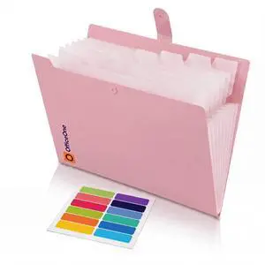 8-Pocket Expanding File Folder, A4 Letter Size Accordion Document Organizer with Snap Closure, Labeled Tabs & Customizable Color-Coding Stickers, Home Office School (Dusty Pink) 8-Pocket Expanding File Folder, A4 Letter Size Accordion Document Organizer with Snap Closure, Labeled Tabs & Customizable Color-Coding Stickers, Home Office School (Dusty Pink)