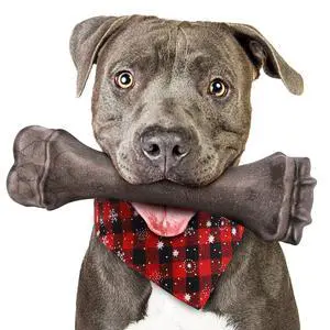 Dog Toys for Aggressive Chewers, Indestructible Bones Toy for Aggressive Chewers, Tough Puppy Chew Toy for Heavy Duty Dogs, Big Dog Teething Toys with Durable Nylon for Large/Medium Breed Puppies Dog Toys for Aggressive Chewers, Indestructible Bones Toy for Aggressive Chewers, Tough Puppy Chew Toy for Heavy Duty Dogs, Big Dog Teething Toys with Durable Nylon for Large/Medium Breed Puppies