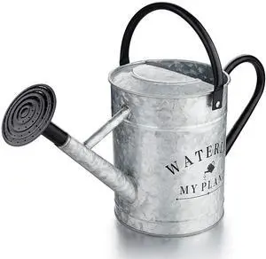 Galvanized Watering Can for Outdoor Indoor Plants, 1 Gallon Decorative Countryside Style Water Can with Removable Spout, Perfect Metal Watering Can for Indoor Plants and Garden Flower Galvanized Watering Can for Outdoor Indoor Plants, 1 Gallon Decorative Countryside Style Water Can with Removable Spout, Perfect Metal Watering Can for Indoor Plants and Garden Flower