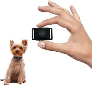 Tiniest Bark Collar for Small Dogs 5-15lbs, Only 1.6 * 1in & 0.42oz, No Shock with Vibration &Sound, Extra Small & Rechargeable, 5 Sensitivity LevelsBlack Tiniest Bark Collar for Small Dogs 5-15lbs, Only 1.6 * 1in & 0.42oz, No Shock with Vibration &Sound, Extra Small & Rechargeable, 5 Sensitivity LevelsBlack