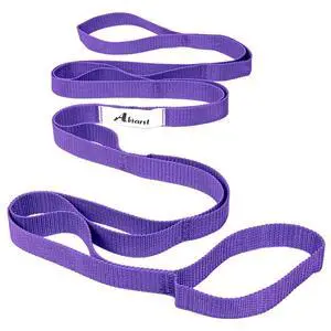 Stretching Strap Yoga Straps for Physical Therapy, 10 Loops Non-Elastic Stretch Band for Pilates, Flexibility, Exercise and Gymnastics (Purple) Stretching Strap Yoga Straps for Physical Therapy, 10 Loops Non-Elastic Stretch Band for Pilates, Flexibility, Exercise and Gymnastics (Purple)