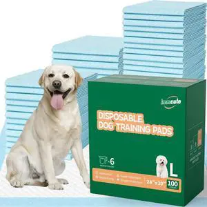100 Count Large Dog & Cat Puppy Pee Pads - 28"x30" Absorbent Potty Training Pads | Leakproof Quick-Dry Disposable Pet Pads for Puppies, Dogs & Cats | Indoor, Outdoor, Litter Box, Housebreaking Use 100 Count Large Dog & Cat Puppy Pee Pads - 28"x30" Absorbent Potty Training Pads | Leakproof Quick-Dry Disposable Pet Pads for Puppies, Dogs & Cats | Indoor, Outdoor, Litter Box, Housebreaking Use