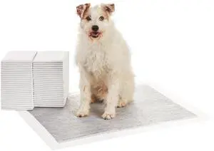 Carbon Odor Control Dog and Puppy Pee Pads, 5-Layer Leak-Proof Super Absorbent, Quick-Dry Surface for Potty Training and Housebreaking, X-Large Size 28"x34", Gray, 50 Count Carbon Odor Control Dog and Puppy Pee Pads, 5-Layer Leak-Proof Super Absorbent, Quick-Dry Surface for Potty Training and Housebreaking, X-Large Size 28"x34", Gray, 50 Count