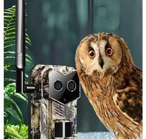Hunting camera outdoor surveillance of orchard hunting camera animals woods hunting fishpond night vision tracking sensor camera Hunting camera outdoor surveillance of orchard hunting camera animals woods hunting fishpond night vision tracking sensor camera