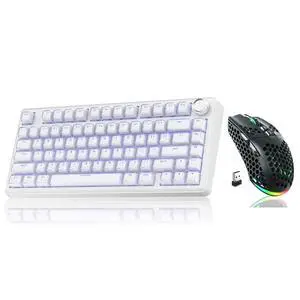 A75 and SM600, Wireless Keyboard and Mouse Combo for PC (A75 Crystal-White & SM600 Black) A75 and SM600, Wireless Keyboard and Mouse Combo for PC (A75 Crystal-White & SM600 Black)