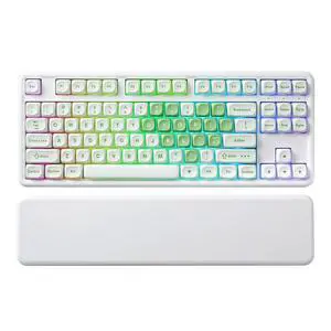 B87 Wireless Mechanical Keyboard,QMK/VIA Programmable,TKL Layout 87 Keys,BT/2.4G/USB-C,Hot Swap Gask B87 Wireless Mechanical Keyboard,QMK/VIA Programmable,TKL Layout 87 Keys,BT/2.4G/USB-C,Hot Swap Gask